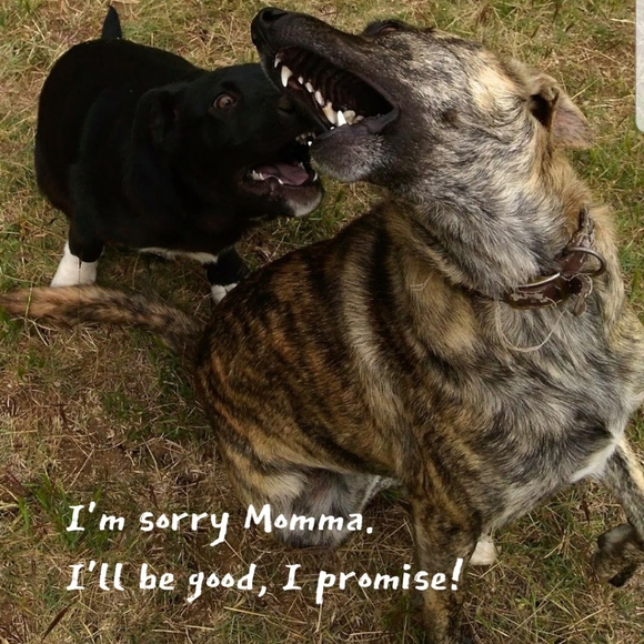 Bits and Pieces - Picture 12 of 12